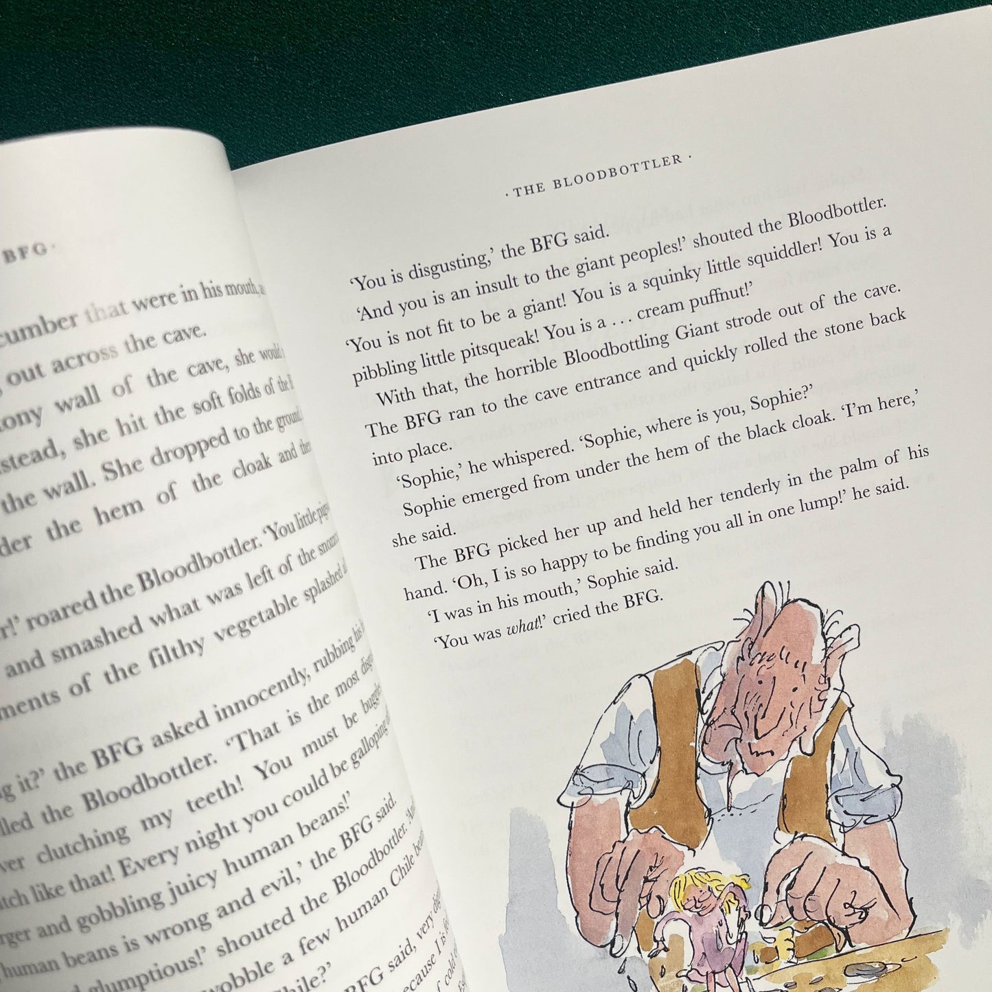 The BFG Large Paperback