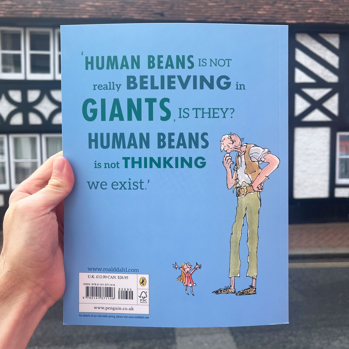 The BFG Large Paperback