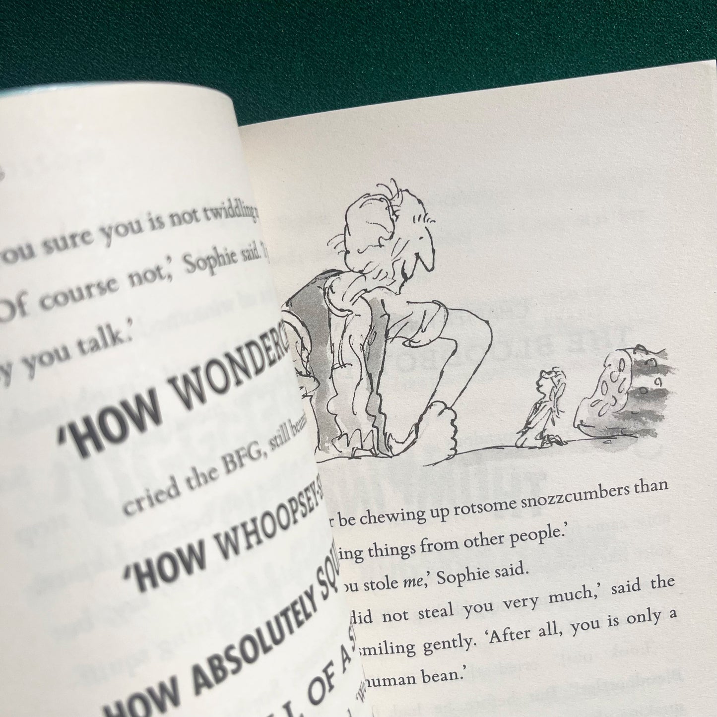 The BFG Paperback