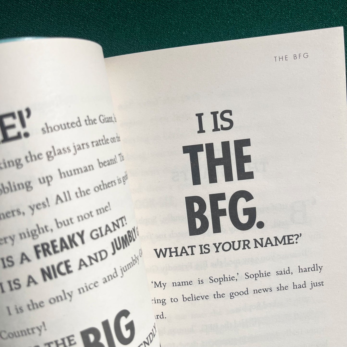 The BFG Paperback