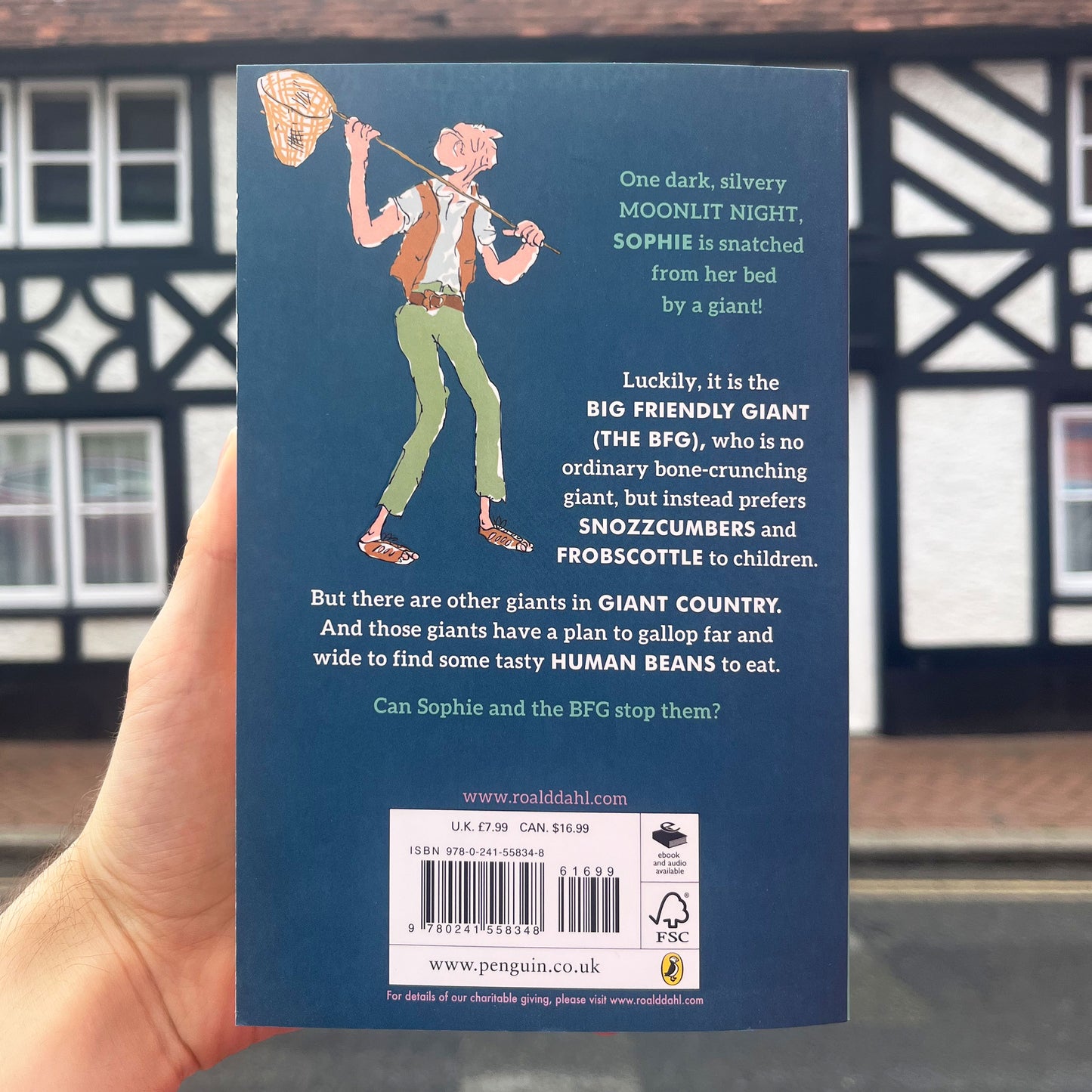 The BFG Paperback