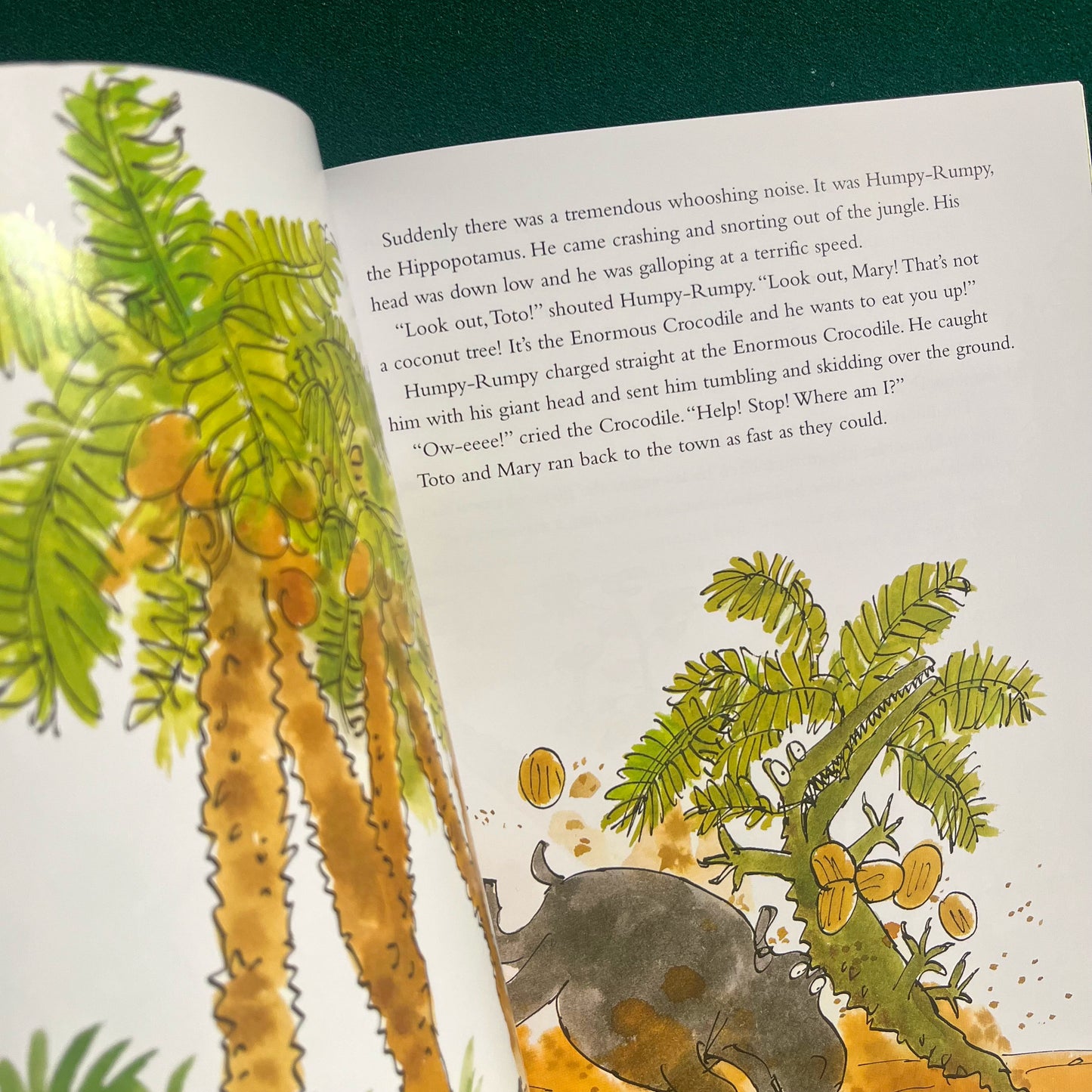 The Enormous Crocodile Large Paperback