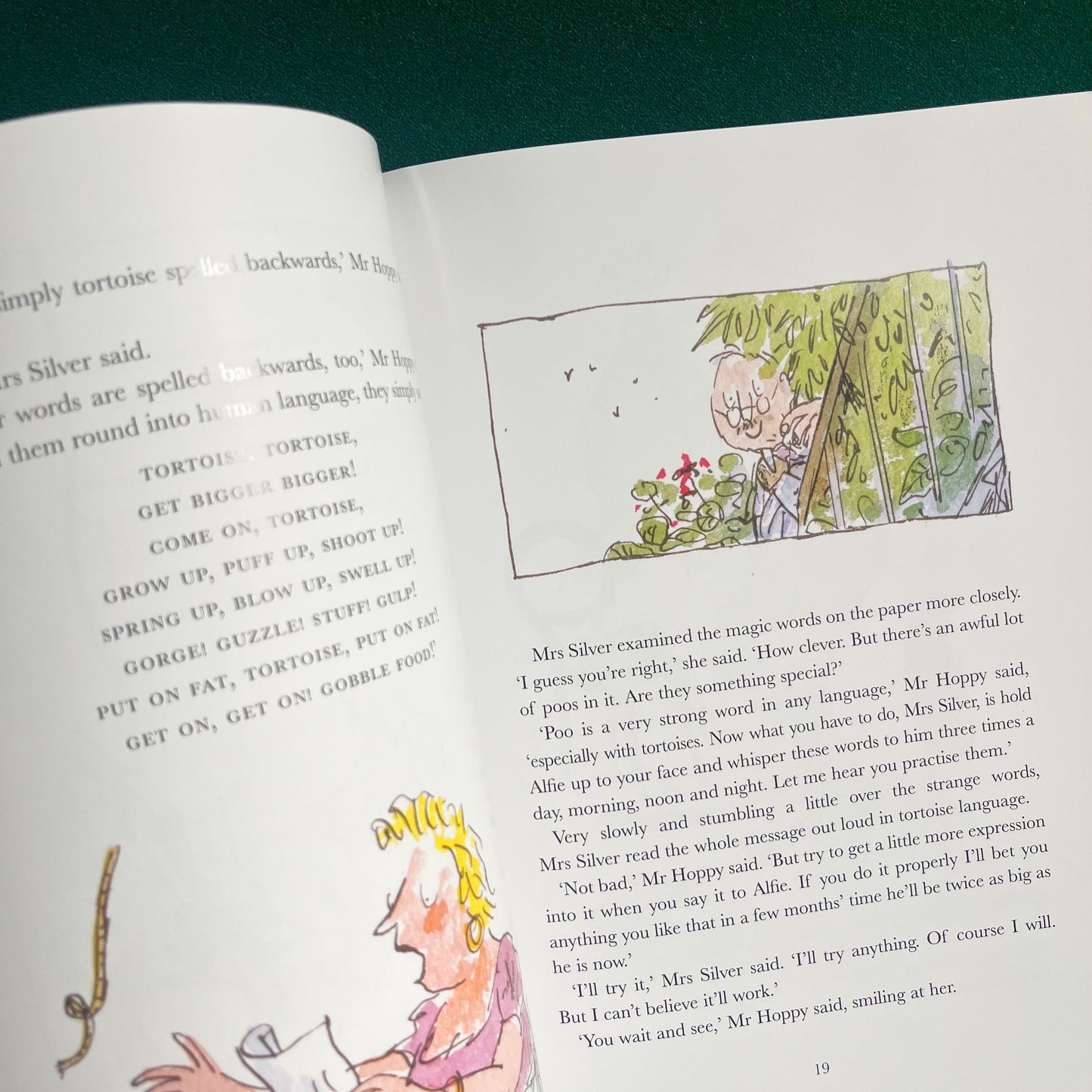 Esio Trot Large Paperback