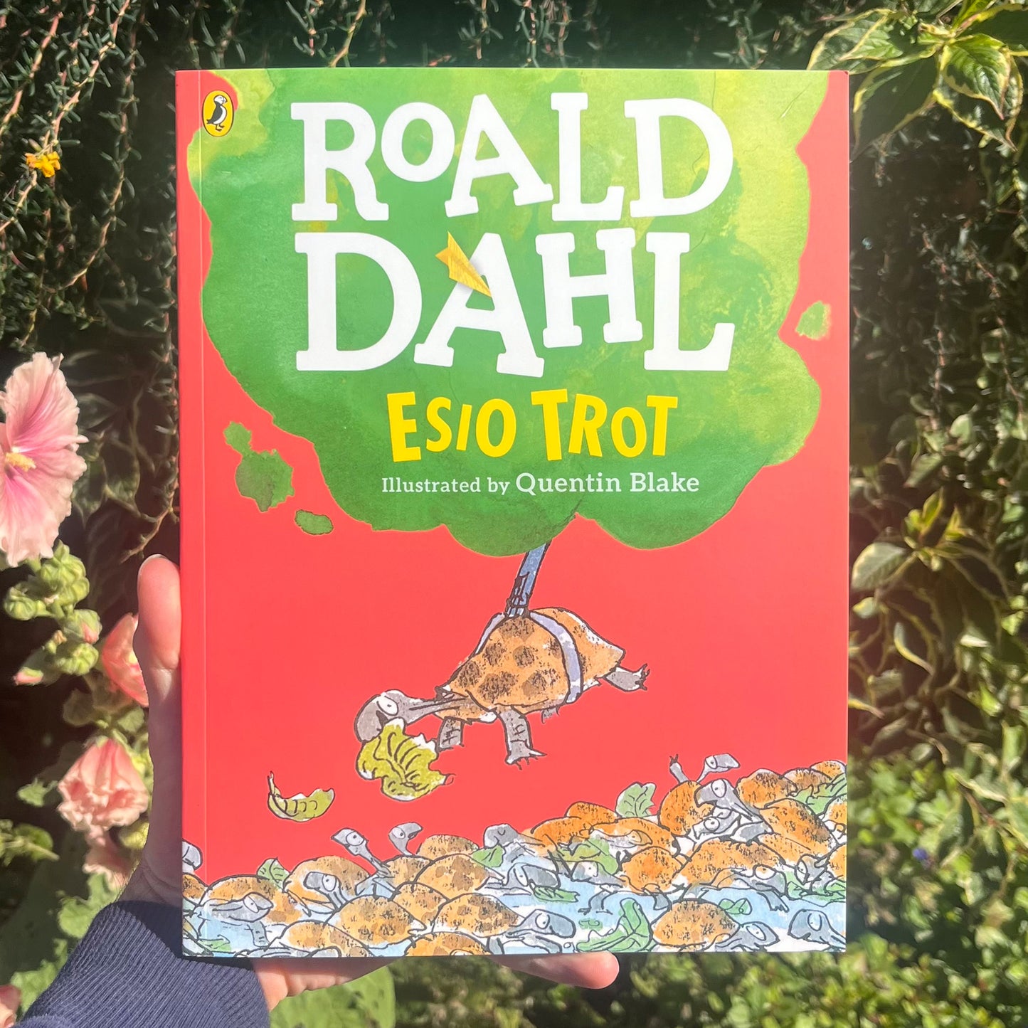 Esio Trot Large Paperback