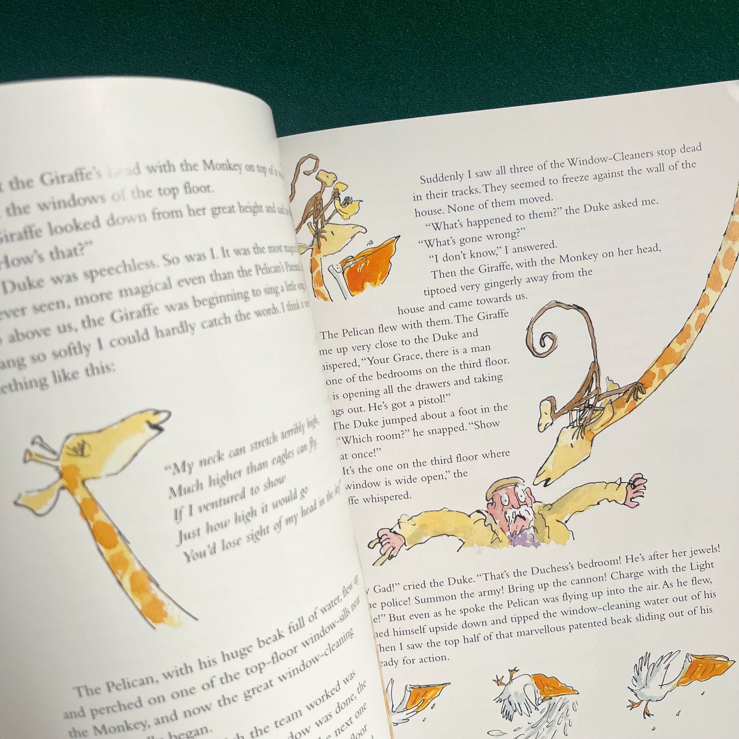 The Giraffe and the Pelly and Me Large Paperback