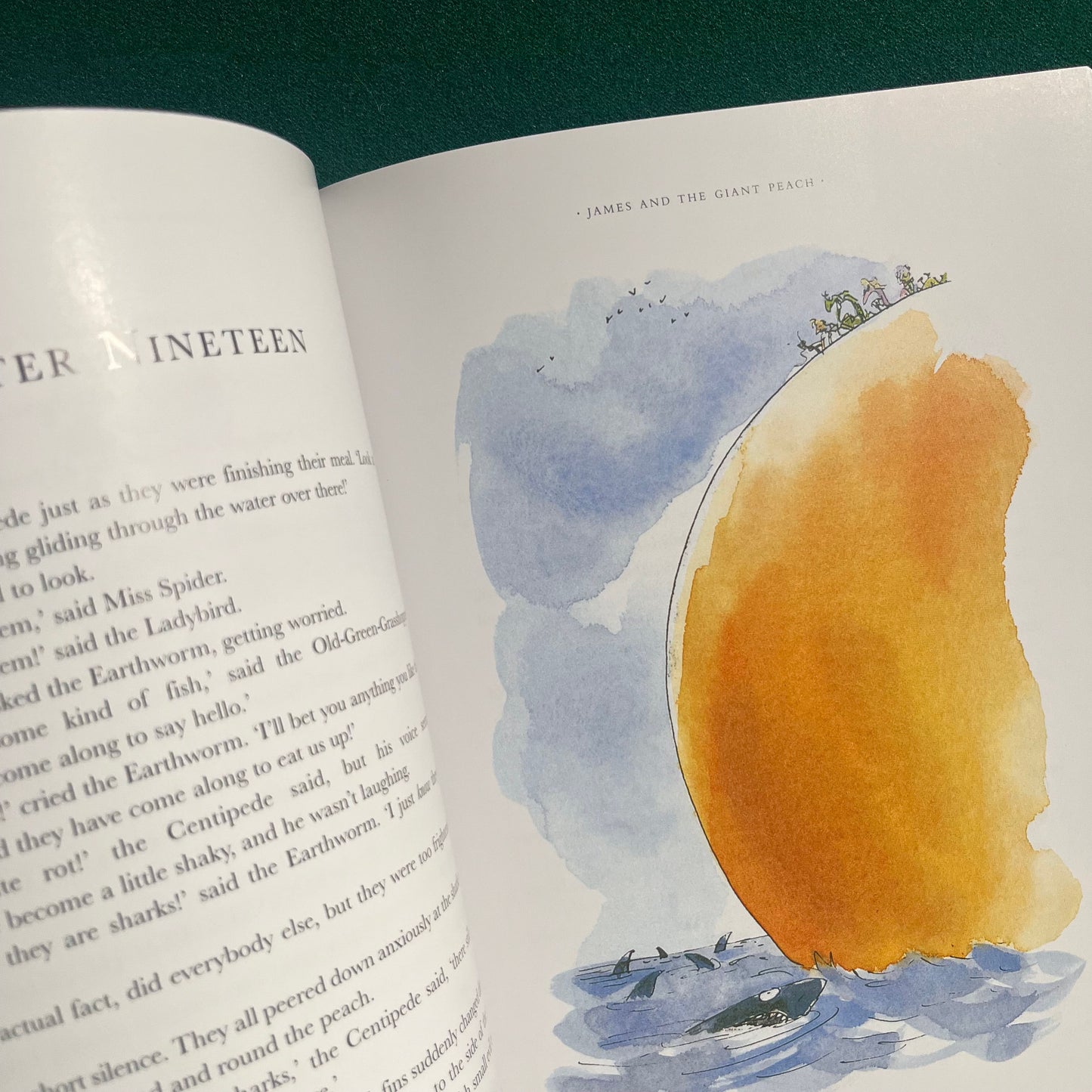 James and the Giant Peach Large Paperback