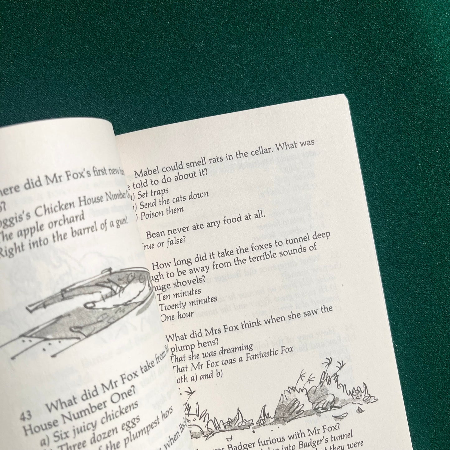 Roald Dahl Quiz Book