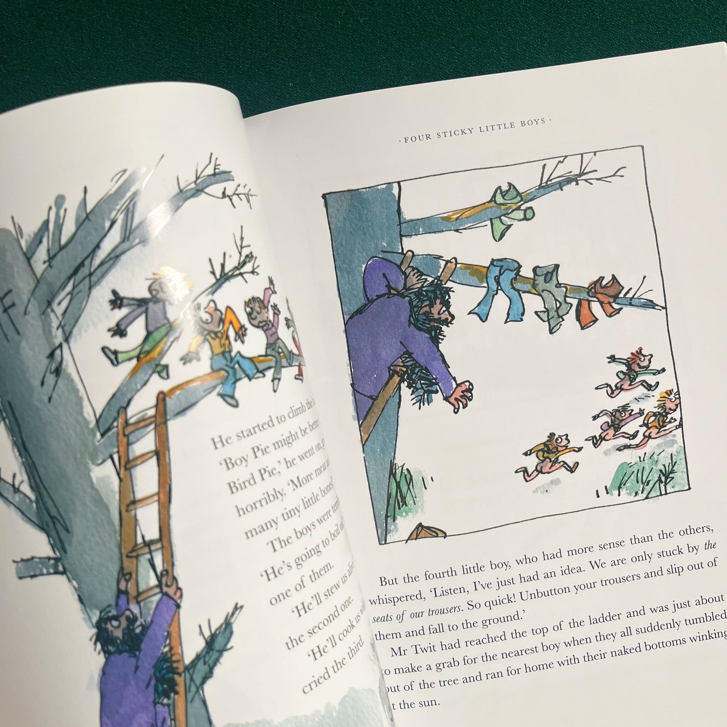 The Twits Large Paperback