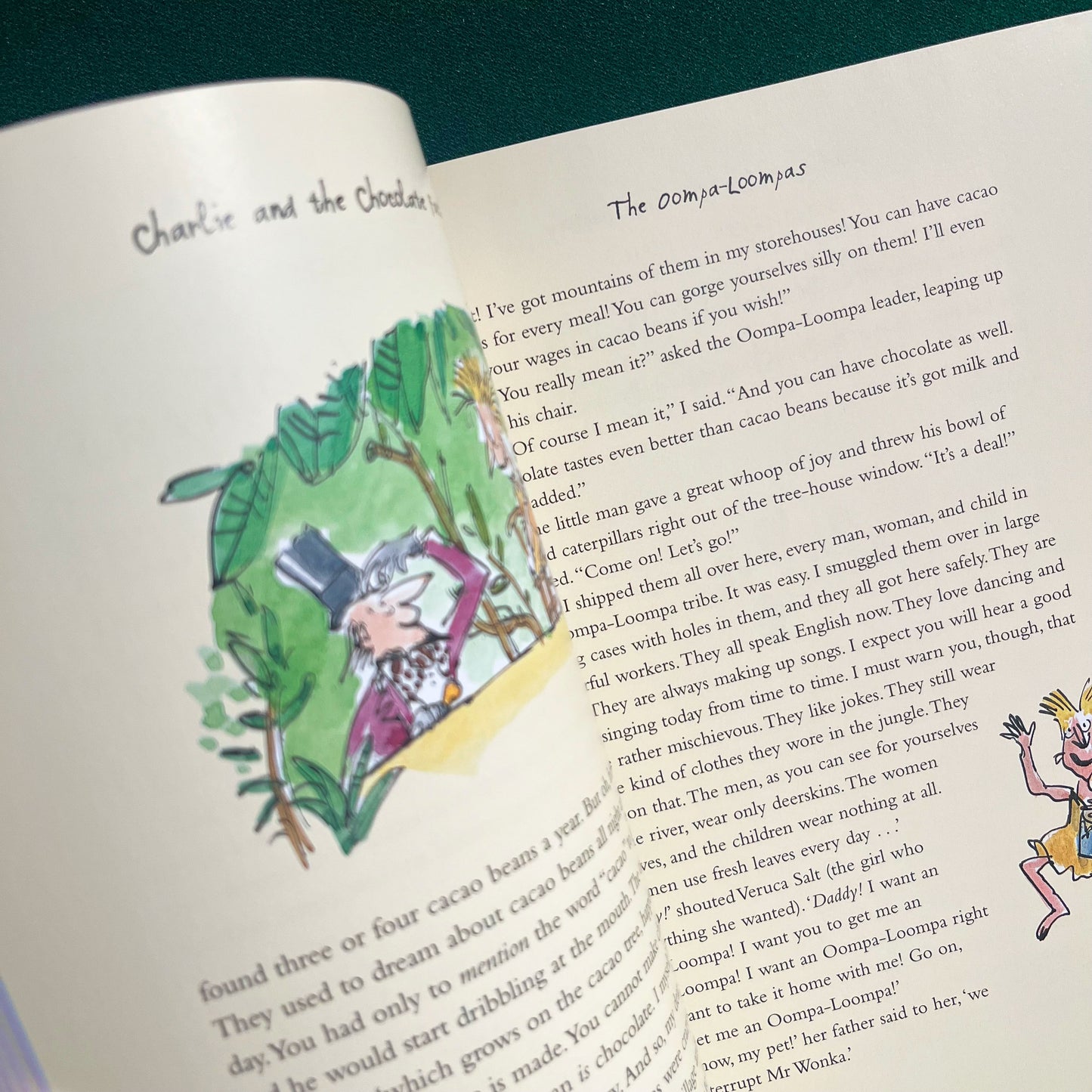 Charlie and the Chocolate Factory Large Paperback