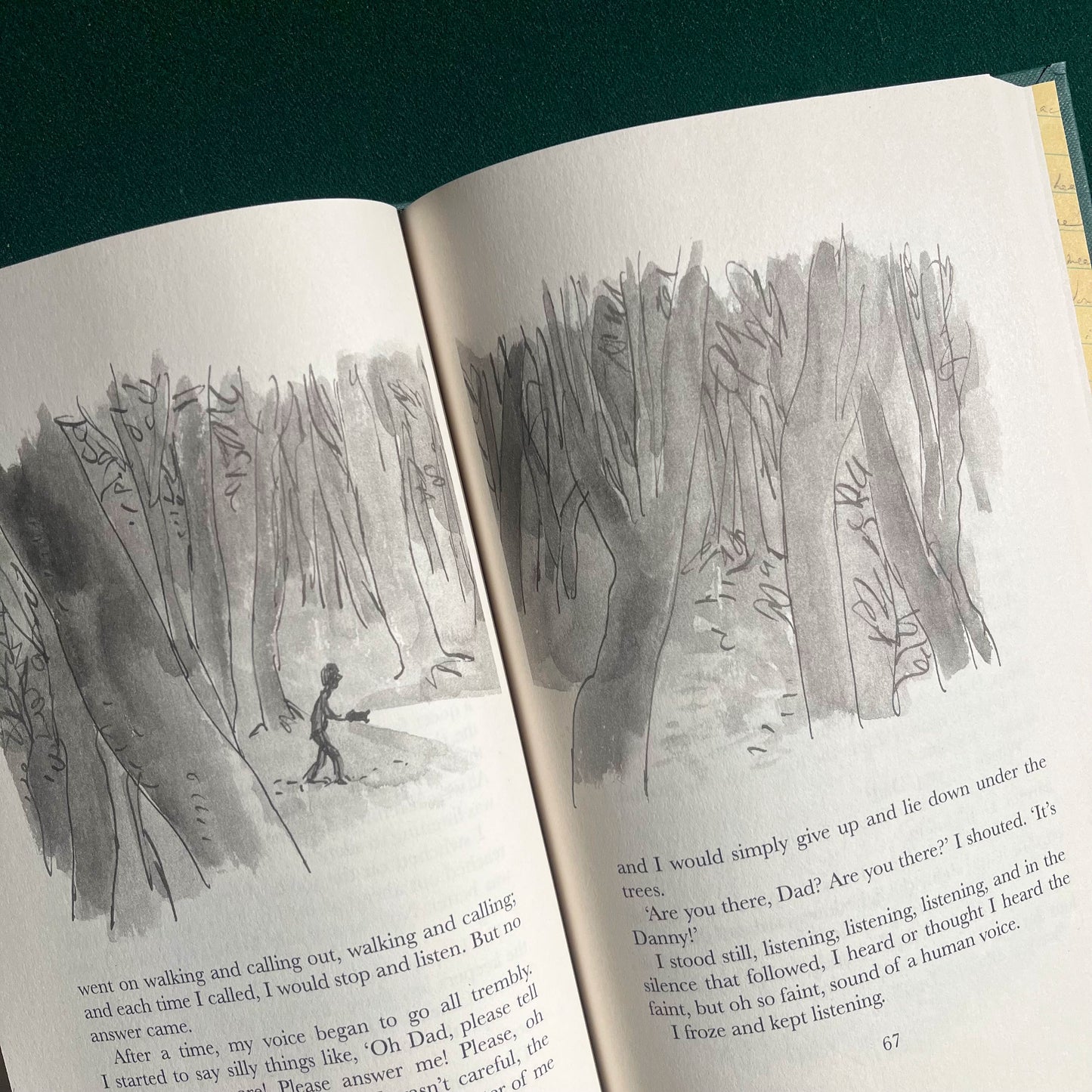 Danny the Champion of the World Exclusive Edition Hardback (Last few copies!)