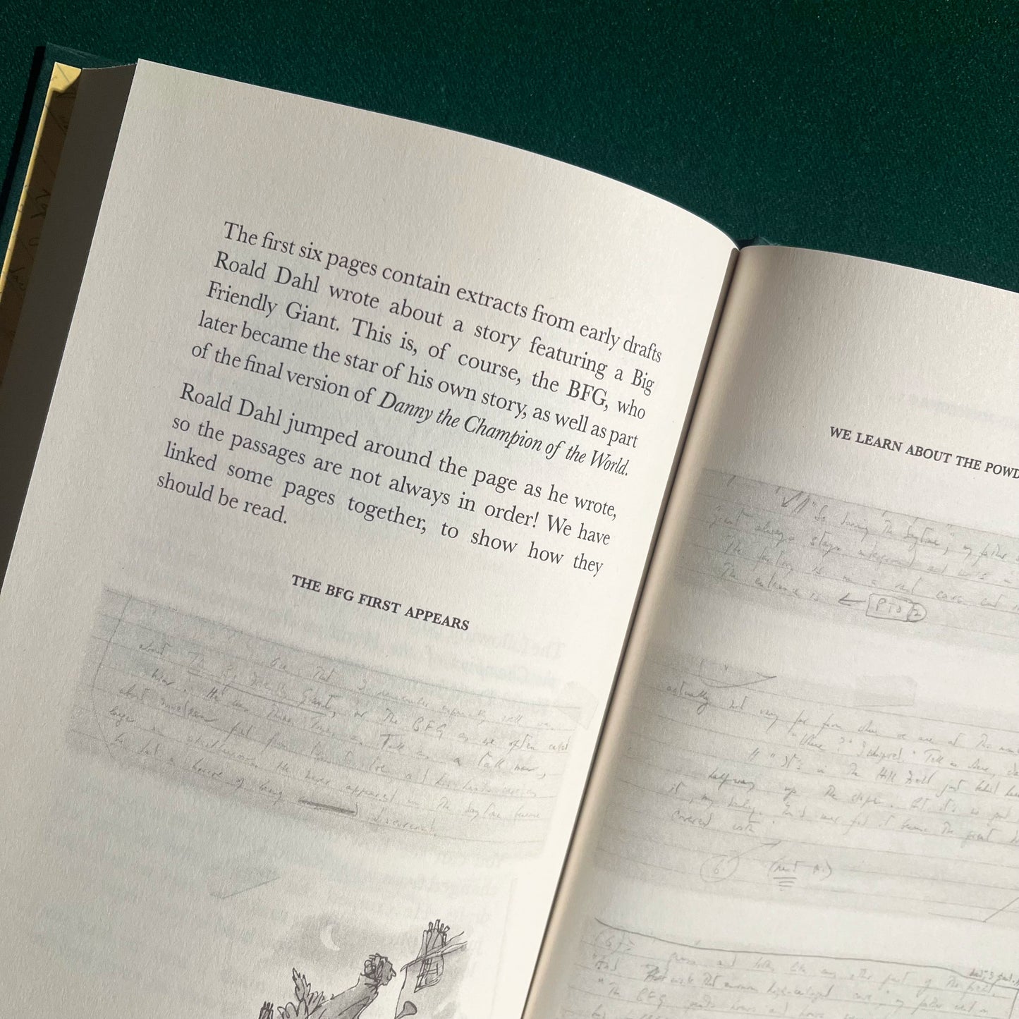 Danny the Champion of the World Exclusive Edition Hardback (Last few copies!)