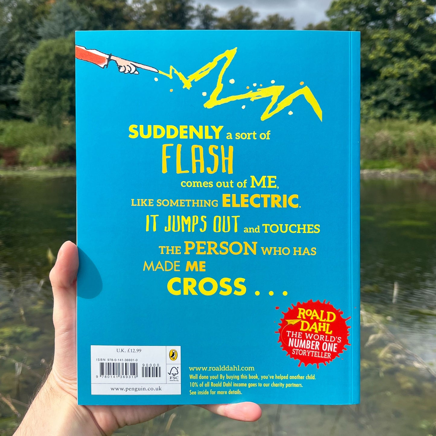 The Magic Finger Large Paperback