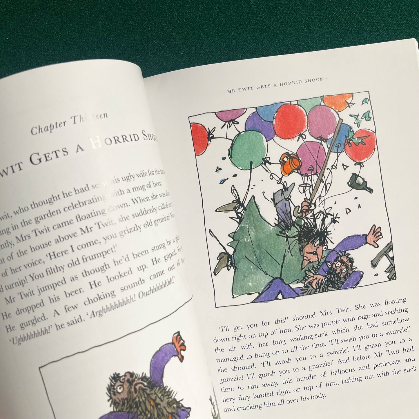 The Twits Large Paperback