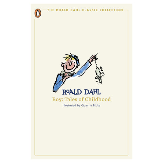 Boy classic paperback by Roald Dahl