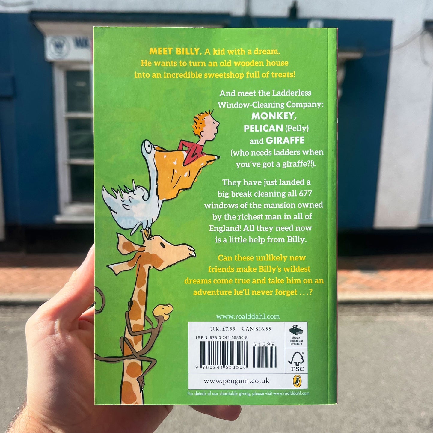 The Giraffe and the Pelly and Me Paperback