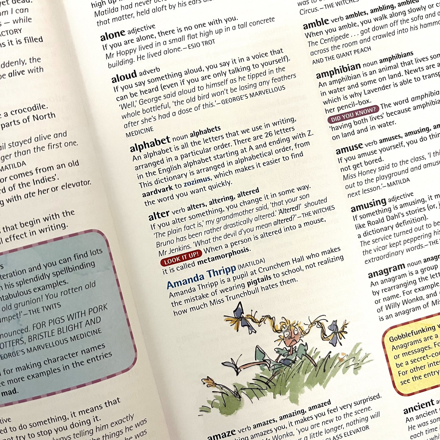 Oxford Roald Dahl Dictionary