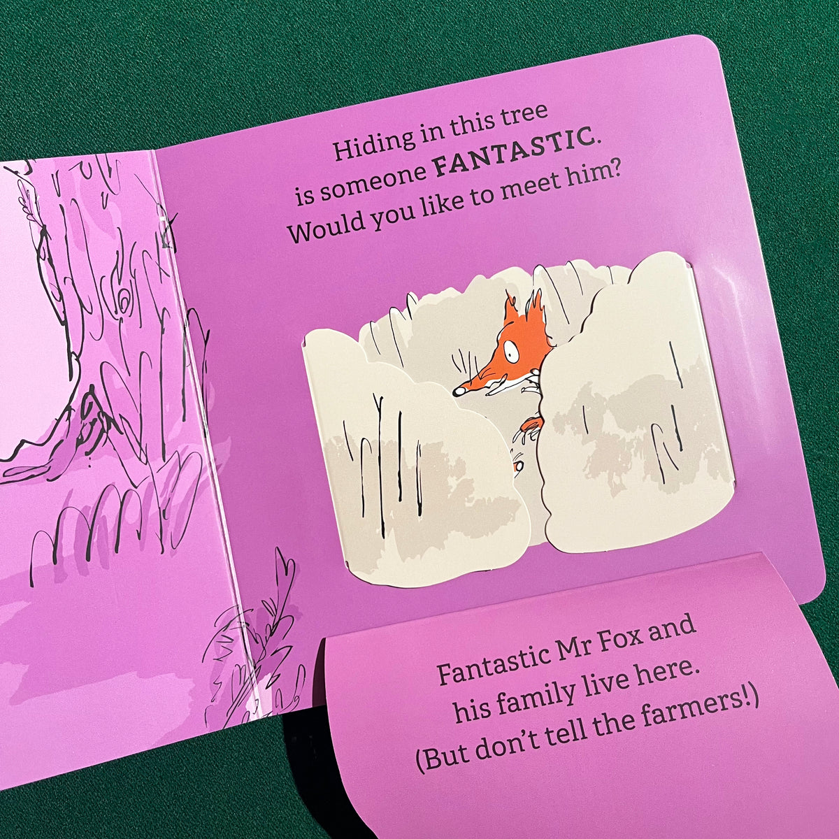 Can you Find Fantastic Mr Fox?