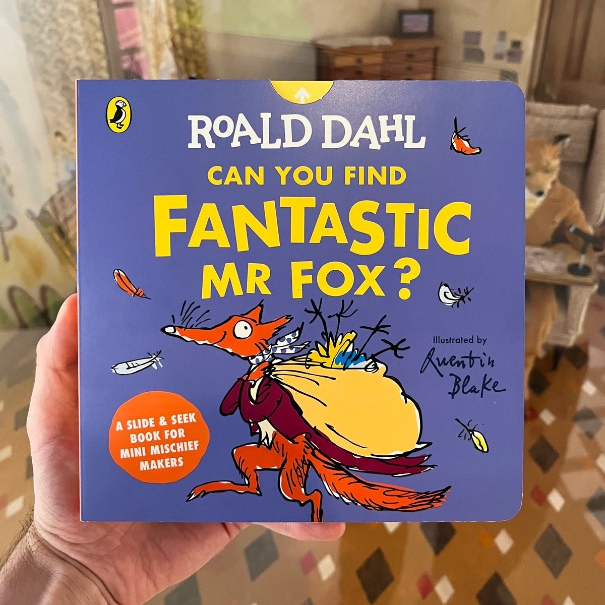 Can you Find Fantastic Mr Fox?