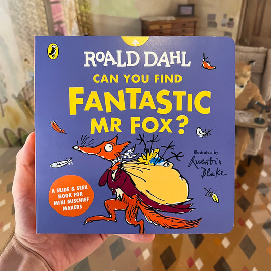 Can you Find Fantastic Mr Fox?