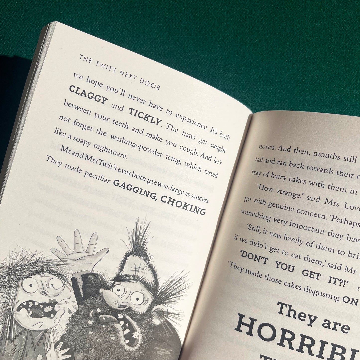 The Twits Next Door By Greg James and Chris Smith