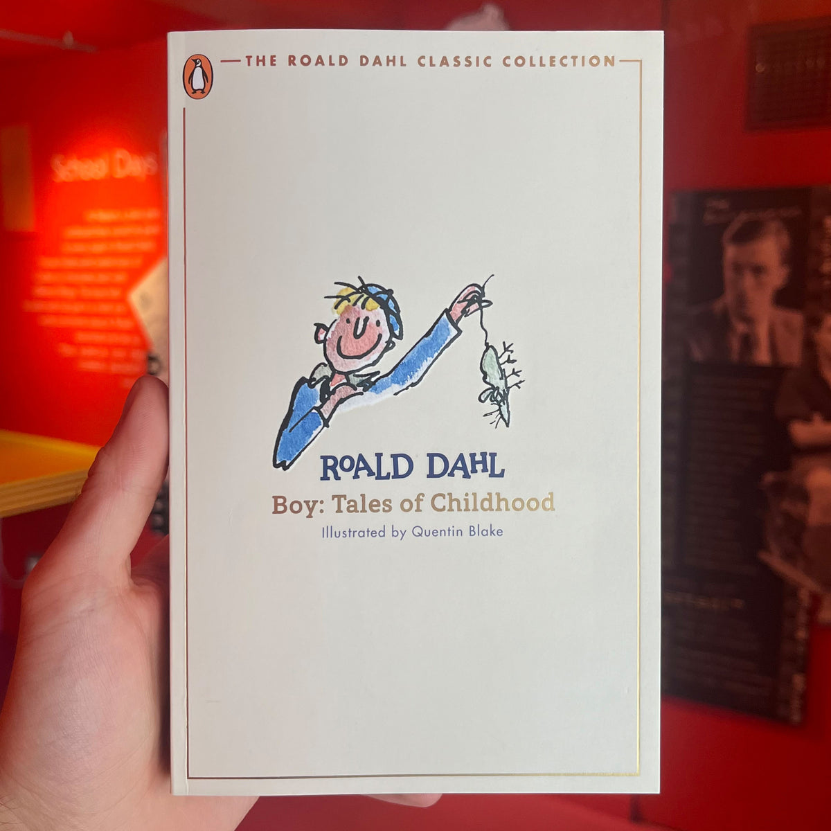 Boy Classic paperback – The Roald Dahl Museum Online Shop