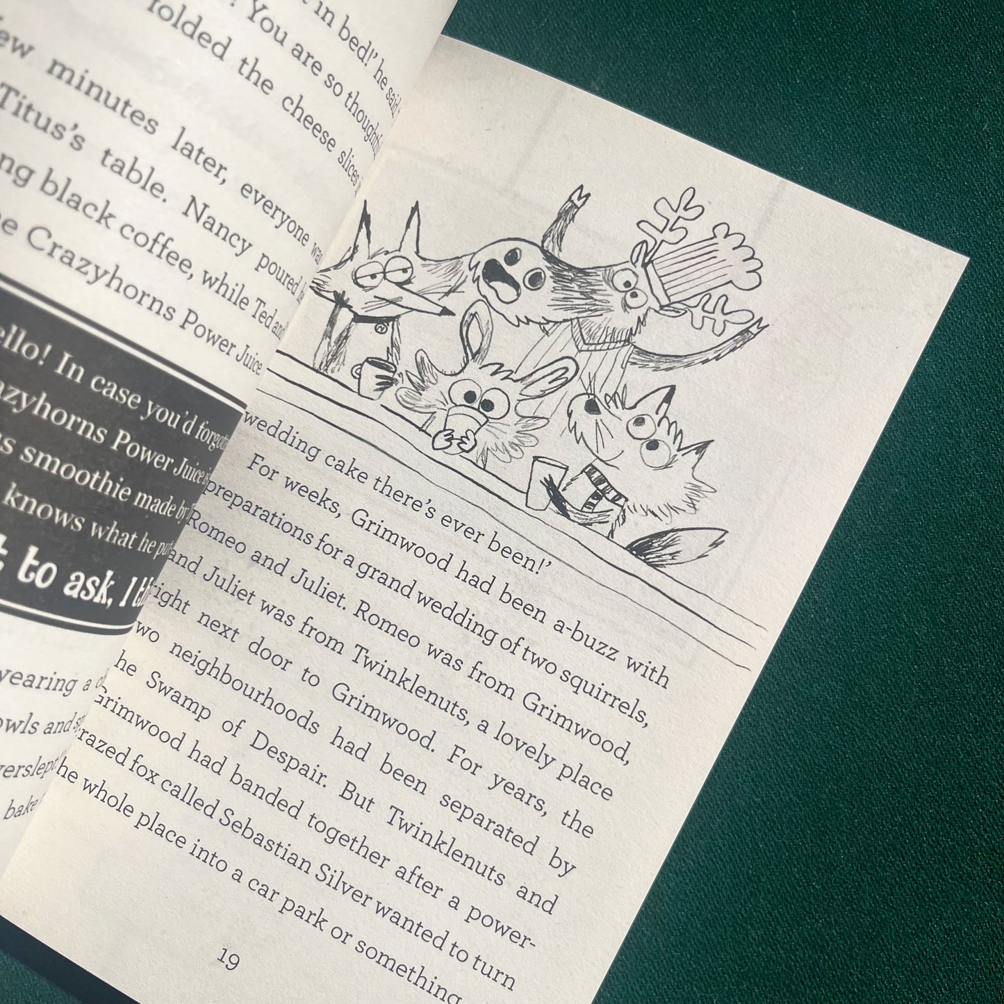 Grimwood - Attack of the Stink Monster by Nadia Shireen