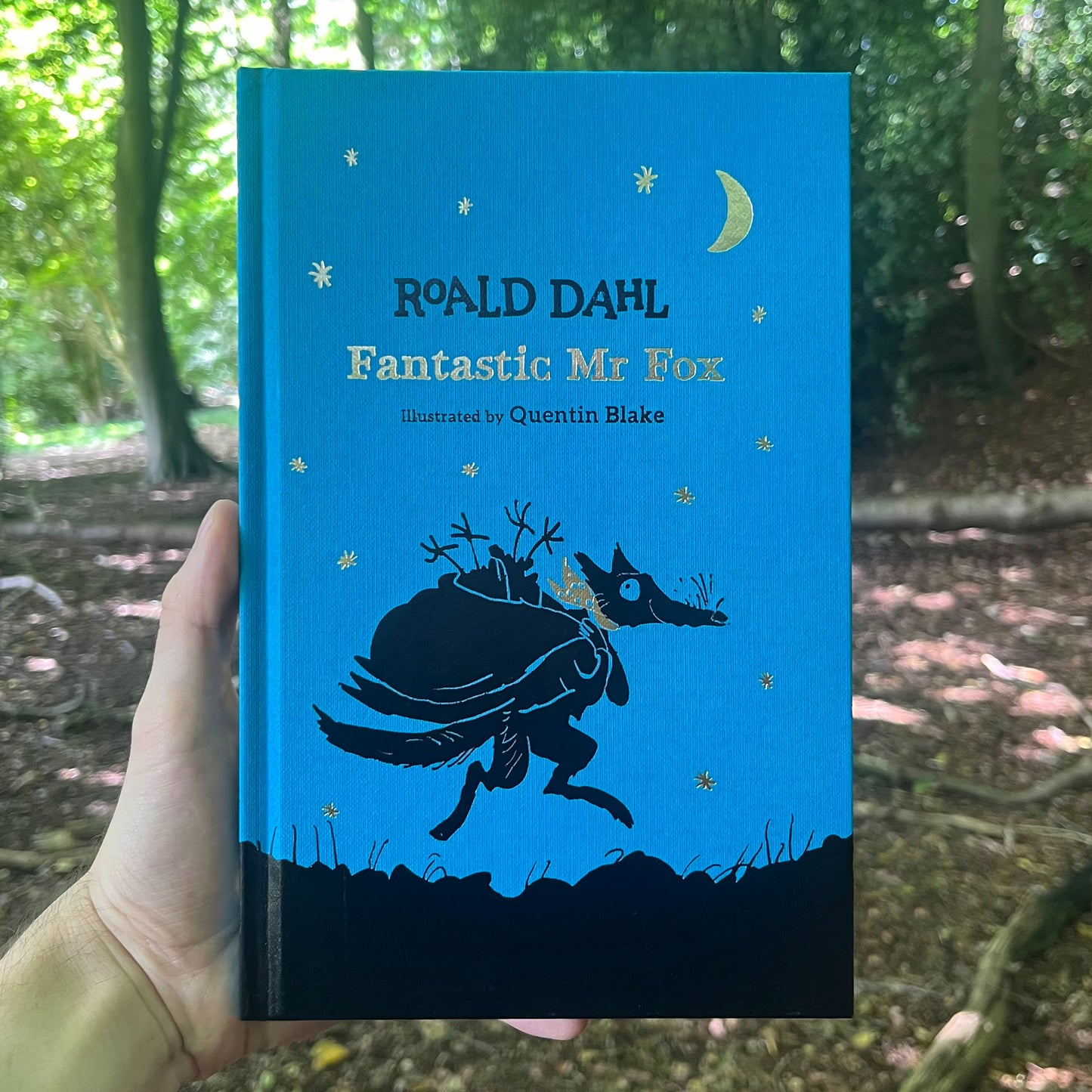 Fantastic Mr Fox Exclusive Edition Hardback (SOLD OUT)