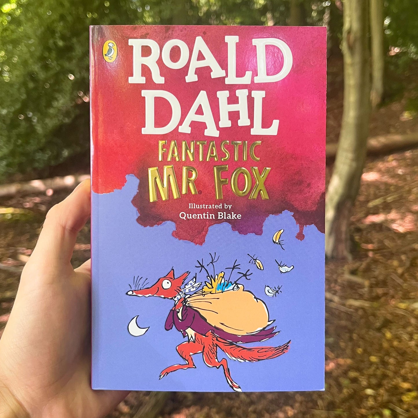 Fantastic Mr Fox Paperback