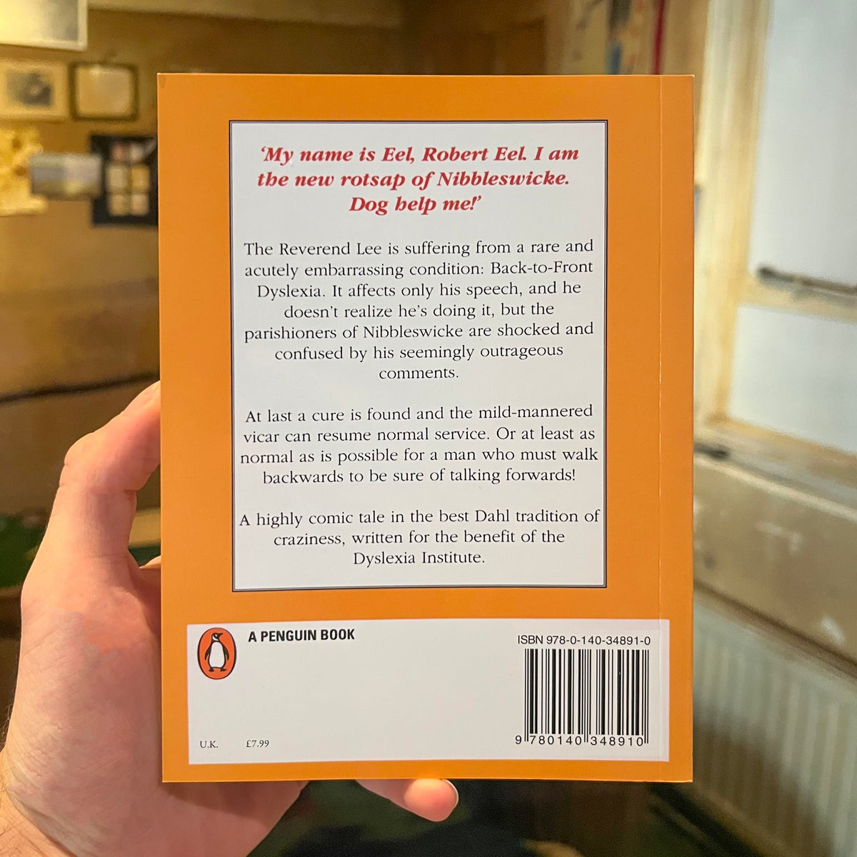 The Vicar of Nibbleswicke Paperback